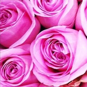 Meet your Posher, Claudia